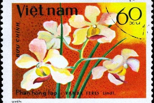 十字绣贴钻怎么贴视频